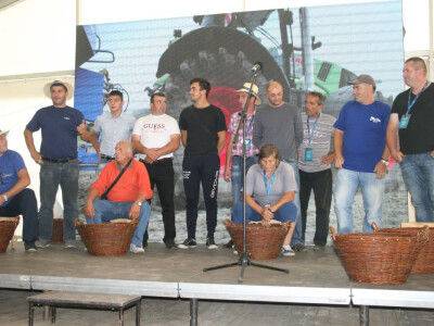 Takmičenje u ručnom krunjenju kukuruza