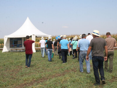 DEKALB Inovativni centar 2016.