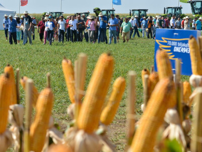 DEKALB Inovativni centar 2016.