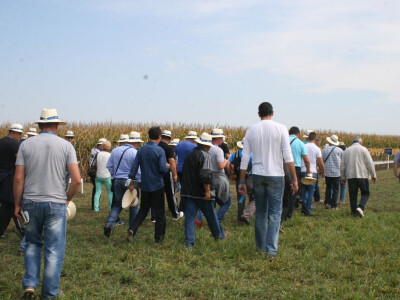 DEKALB Inovativni centar 2016.