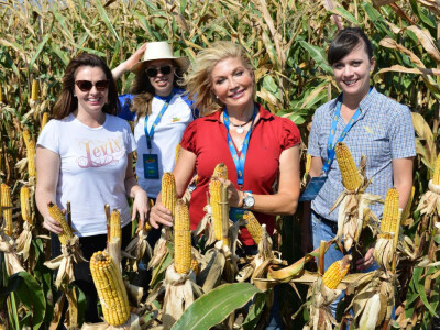 DEKALB Inovativni centar 2016.