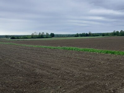 Deklaracija Alpe- Adria- Dunav GMO free