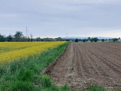 Deklaracija Alpe- Adria- Dunav GMO free