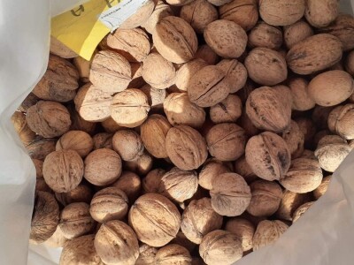 Deklaracija Alpe- Adria- Dunav GMO free