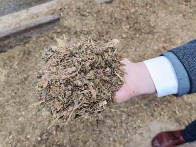 Deltina farma goveda na Petrović salašu