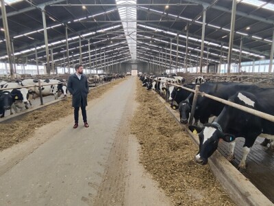 Deltina farma goveda na Petrović salašu