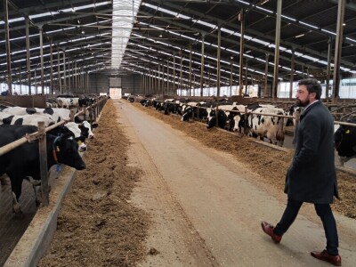 Deltina farma goveda na Petrović salašu