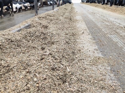 Deltina farma goveda na Petrović salašu