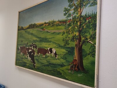 Deltina farma goveda na Petrović salašu