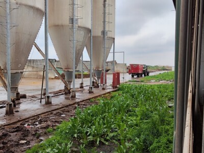 Deltina farma goveda na Petrović salašu