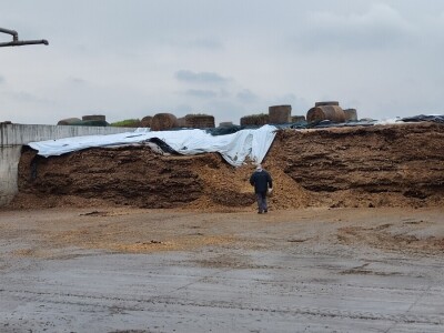 Deltina farma goveda na Petrović salašu