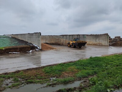 Deltina farma goveda na Petrović salašu