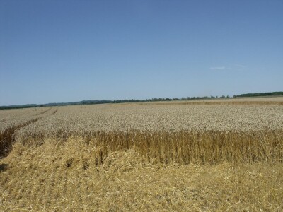 Demo prezentacija Novocommerce