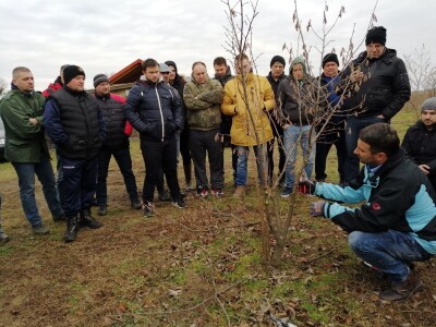 demonstracija rezidbe lijeske