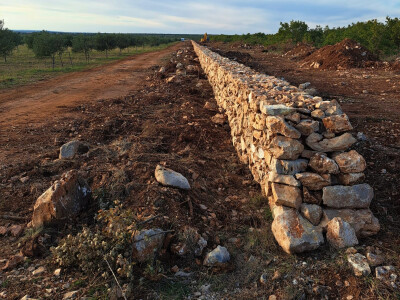 Denis Plastić, dvostruki šampion Nadina 2022.