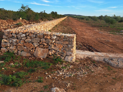 Denis Plastić, dvostruki šampion Nadina 2022.