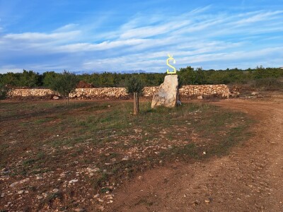 Denis Plastić, dvostruki šampion Nadina 2022.