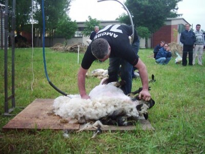 U susret 82. Poljoprivrednom sajmu