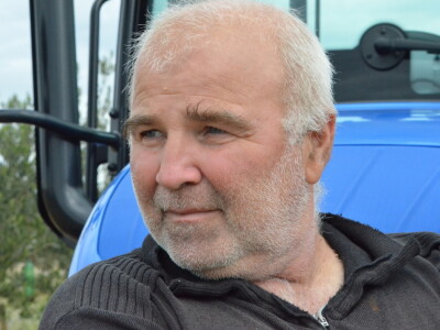 Festival Zlata oljčna vejica