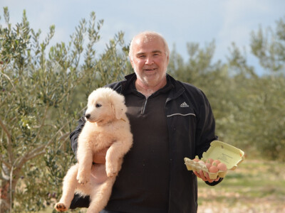 Miodrag, psić i jaja