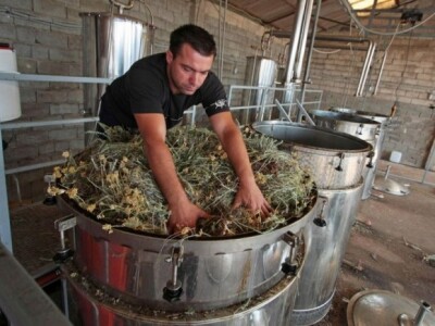 Destilacija smilja Destilacija smilja