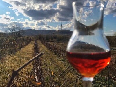 Destilerija braće Rajković