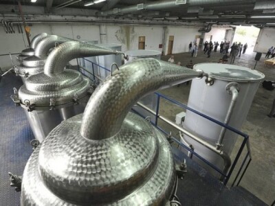 Nove plantaže smilja i destilerije