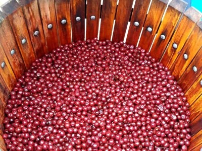 Destilerija i sušara u Gornjim Maovicama Destilerija i sušara u Gornjim Maovicama