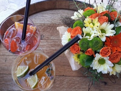 Destilerija Suza Croatian Spirit