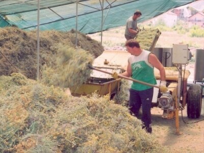 Priprema smilja za destilaciju