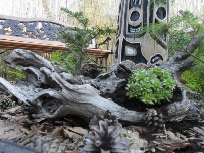 Detalji su i u porama drveća Detalji su i u porama drveća