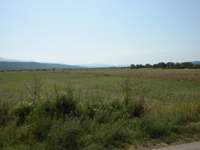 Hrvatačko polje (detalj) uz rijeku Cetinu koje često plavi