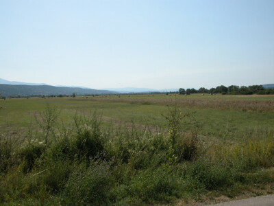 Hrvatačko polje (detalj) uz rijeku Cetinu koje često plavi