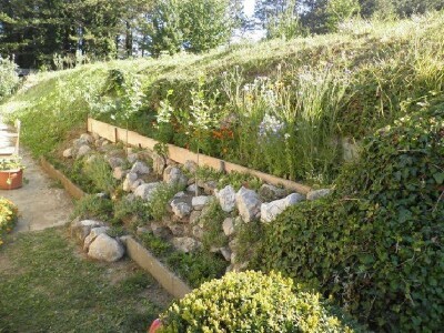 Detalj ukrasnog bilja u sklopu OPG Vedran Pezelj