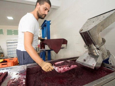 Detalj procesa proizvodnje u pogonu OPG Jelčić