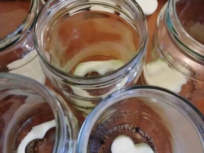 Deterđent od divljeg kestena