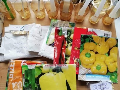 Deterđent od divljeg kestena