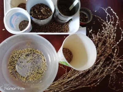 Deterđent od divljeg kestena