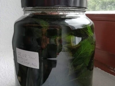 Deterđent od divljeg kestena