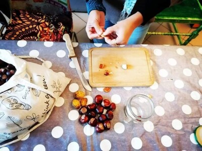 Deterđent od divljeg kestena