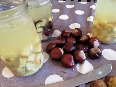 Deterđent od divljeg kestena