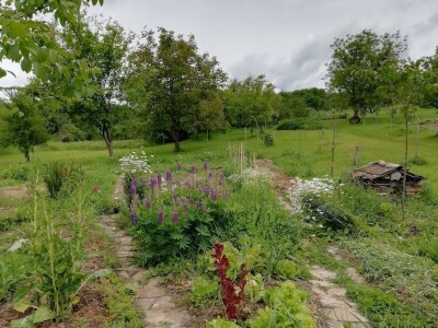 Deterđent od divljeg kestena