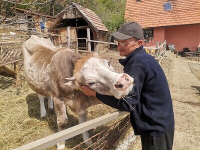 "Devet života" junice Lize "Devet života" junice Lize