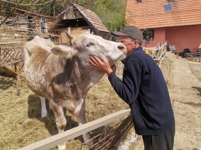 "Devet života" junice Lize "Devet života" junice Lize