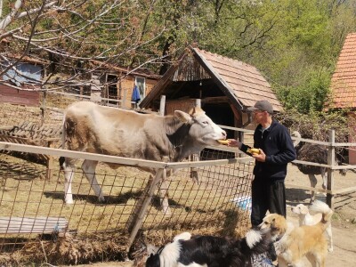 "Devet života" junice Lize "Devet života" junice Lize