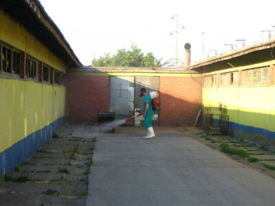 Dezinsekcija zaraženog gazdinstva Dezinsekcija zaraženog gazdinstva