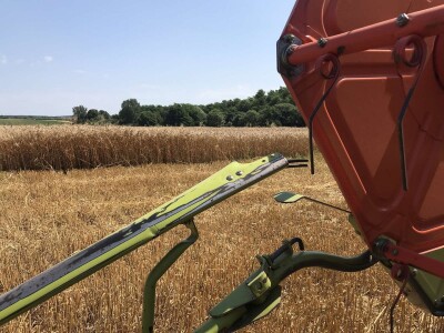 OPG Pavao Švub OPG Pavao Švub