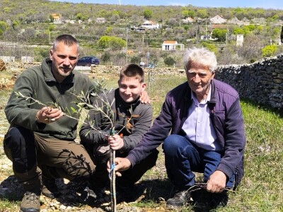 Did Mirko, sin Branimir i unuk Vid oživili didovinu u Rodaljicama Did Mirko, sin Branimir i unuk Vid oživili didovinu u Rodaljicama