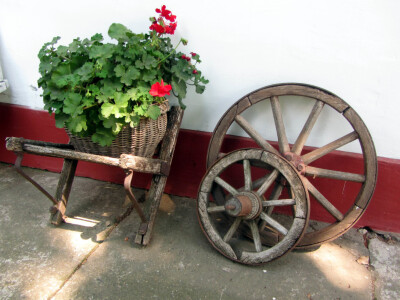 Dida Hornjakov salaš