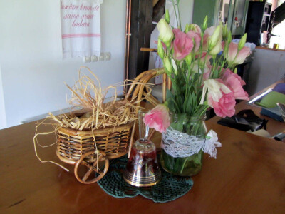 Dida Hornjakov salaš